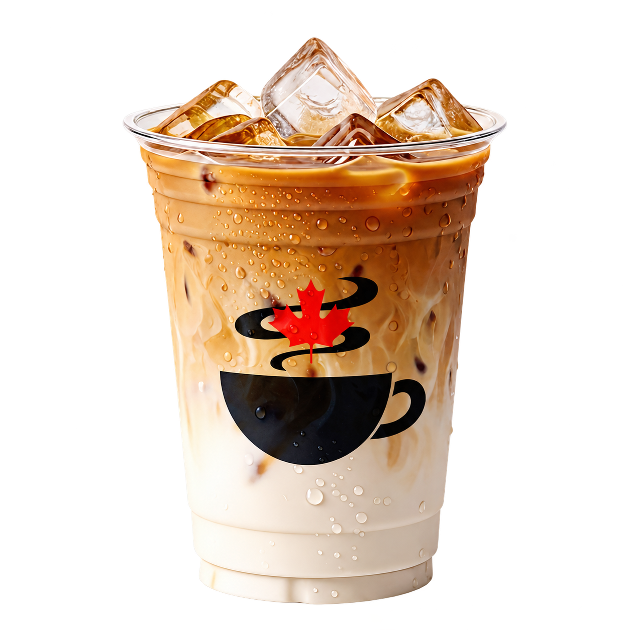 Iced Cappuccino
